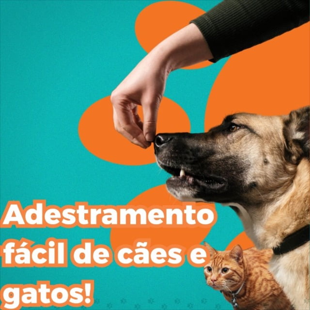 Adestramento fácil de cães e gatos, completo ???? ????‍⬛